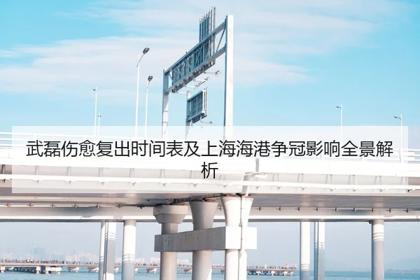 武磊伤愈复出时间表及上海海港争冠影响全景解析